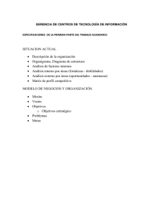 SITUACION ACTUAL • Descripción de la organización