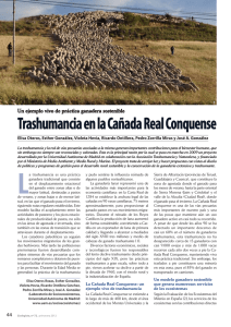 Trashumancia en la Cañada Real Conquense
