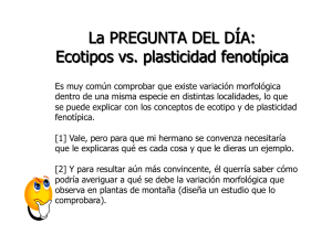 Es muy común comprobar que existe variación morfológica dentro