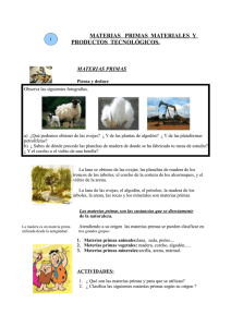 Materias Primas: Materiales y Productos Tecnológicos