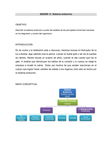 SESIÓN 13 Sistema endocrino OBJETIVO INTRODUCCIÓN Es de