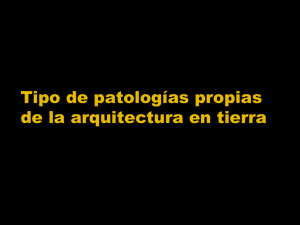 Tipo de patologías propias de la arquitectura en tierra PDF