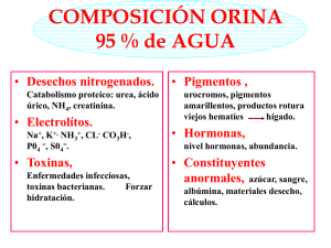 COMPOSICIÓN ORINA 95 % de AGUA