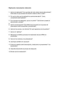 Cuestionario Replicacion, Transcripcion y Traduccion