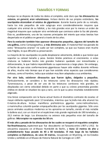 TAMAÑOS Y FORMAS