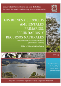 Bienes y Servicios Ambientales: Interpretación y Recursos Naturales