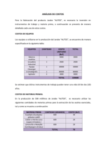ANÁLISIS DE COSTOS