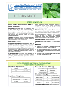 hierba mate - Extractos Naturales