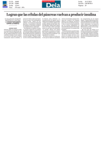 Logran que las células del páncreas vuelvan a producir insulina