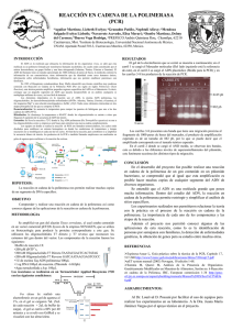 Descarga el cartel