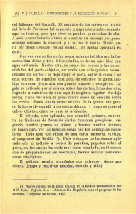 del bálsamo del Canadá. El montaje de los cortes del ovario del lirio