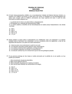 Prueba Parcial III Electivo