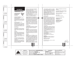 Descargar en formato PDF