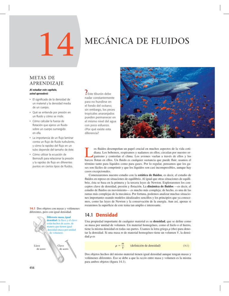 Mecánica De Fluidos