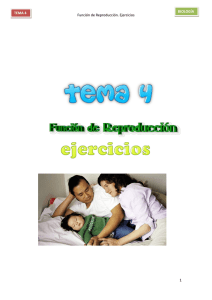 Ejercicios - IES Clara Campoamor, La Solana