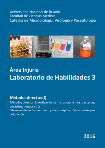 Laboratorio de Habilidades 3 - Cátedra de Microbiología, Virología y