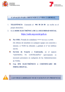 https://sede.seg