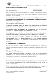 tema 3. la función de relación