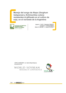 (Sorghum halepense) y Echinochloa colona resistentes al glifosato
