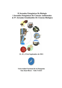 pdf en español