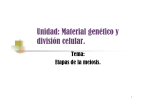 clase meiosis [Modo de compatibilidad]