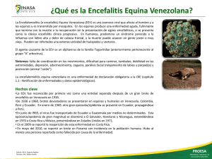 Diapositiva 1