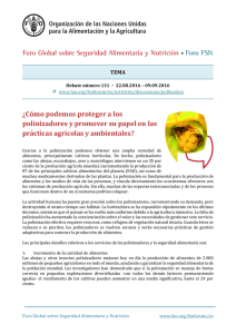 ¿Cómo podemos proteger a los polinizadores y promover su papel