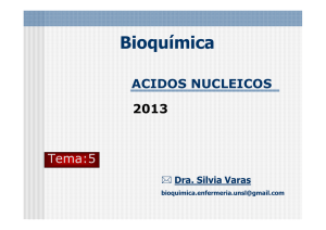 Tema 5-ACIDOS NUCLEICOS Clase 2013