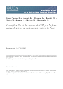 Cuantificación de la captura de CO2 por la flora