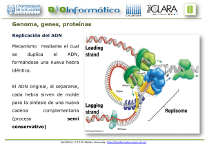 Genoma, genes, proteínas