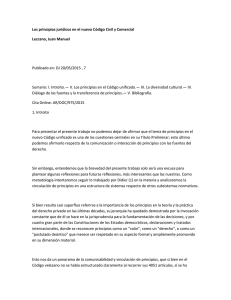 Los principios jurídicos en el nuevo Código Civil y