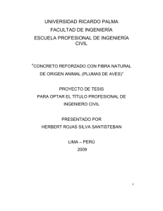 universidad ricardo palma facultad de ingeniería