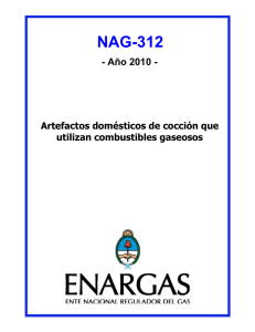 NAG-312 Año 2010 - Ente Nacional Regulador del Gas