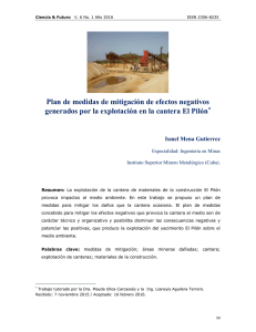 Plan de medidas de mitigación de efectos negativos generados por