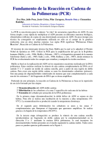 Fundamento de la Reacción en Cadena de la