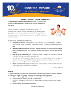 Semana 5: ¡Ponga a trabajar sus músculos!