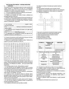 Sistema Endocrino: Guía de Estudio para Biología