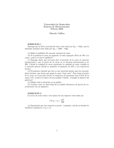 Examen Febrero 2008