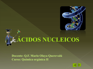 ACIDOS NUCLEICOS
