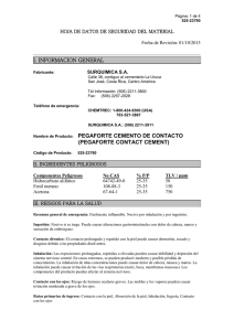 Hoja Seguridad 1
