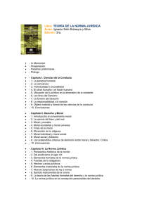 Libro: TEORÍA DE LA NORMA JURÍDICA