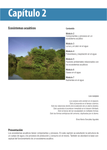 Componentes, procesos, luz y calor en un ecosistema acuático