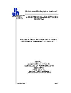Experiencia profesional del centro de desarrollo infantil Cendi Nº 2