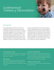 Leishmaniasis Cutánea y Mucocutánea