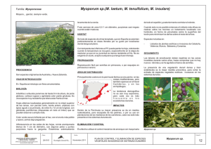 Myoporum sp. - Ministerio de Agricultura, Alimentación y Medio