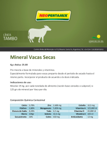 Mineral Vacas Secas