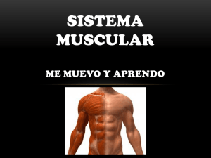 Presentación de PowerPoint