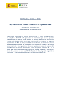 Espermatozoides, ovocitos y embriones: el origen de la vida