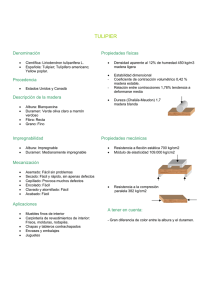 Descargar la ficha técnica del producto