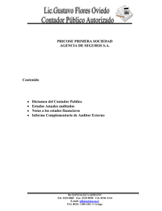 Estados Financieros Auditados 2010